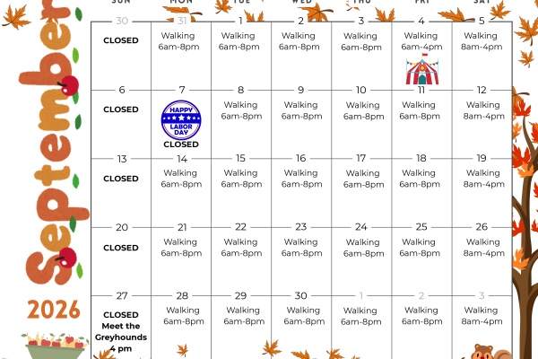 September walking track schedule
